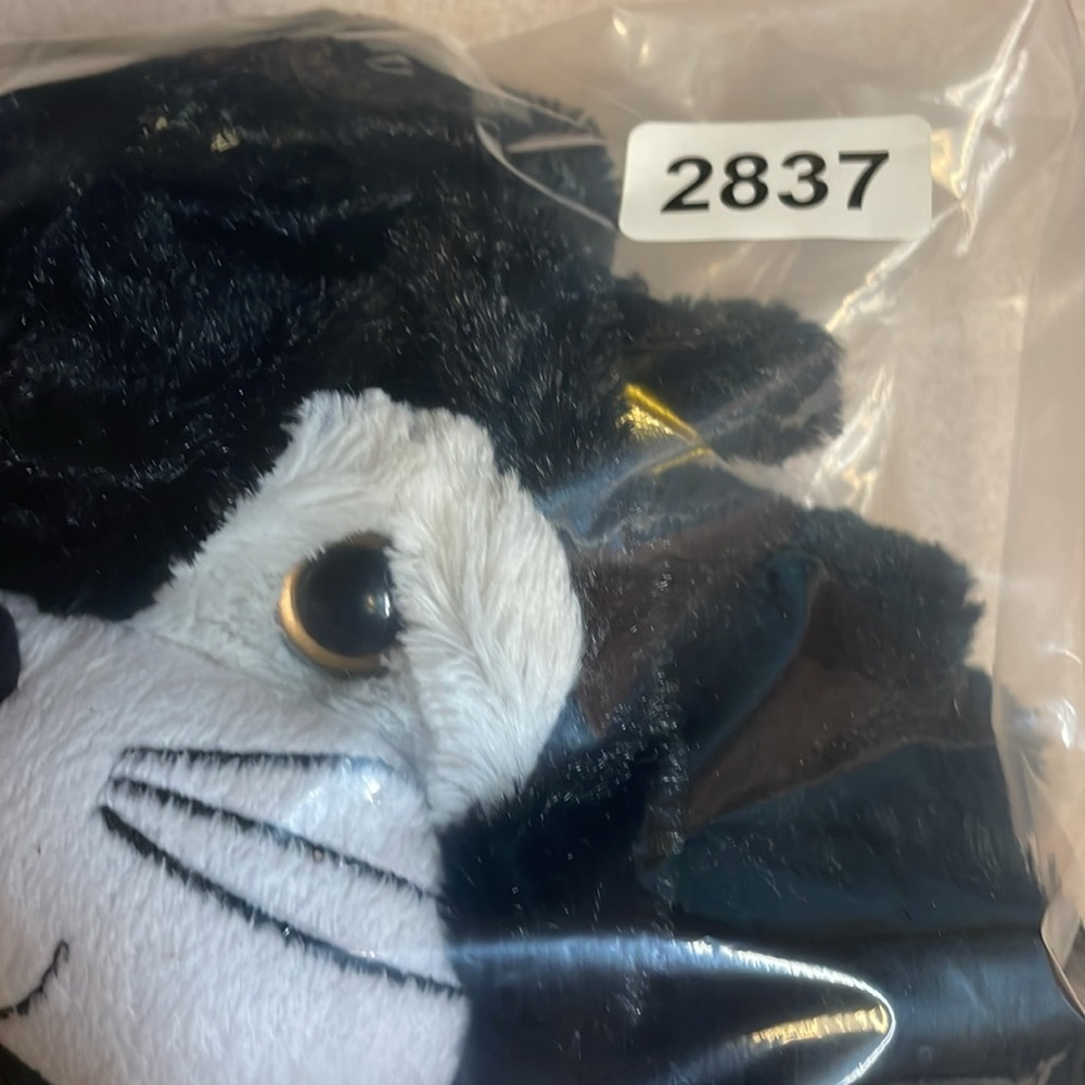 Hyde & Eek cat costume - Picture 5 of 5